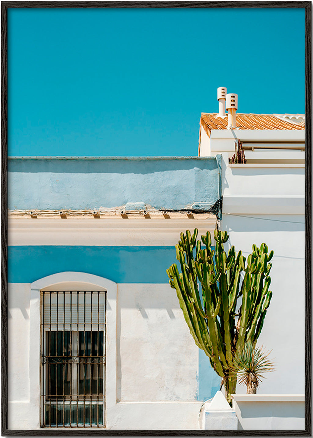 Botanisk poster: medelhavsfasad med kaktus – Black Frame