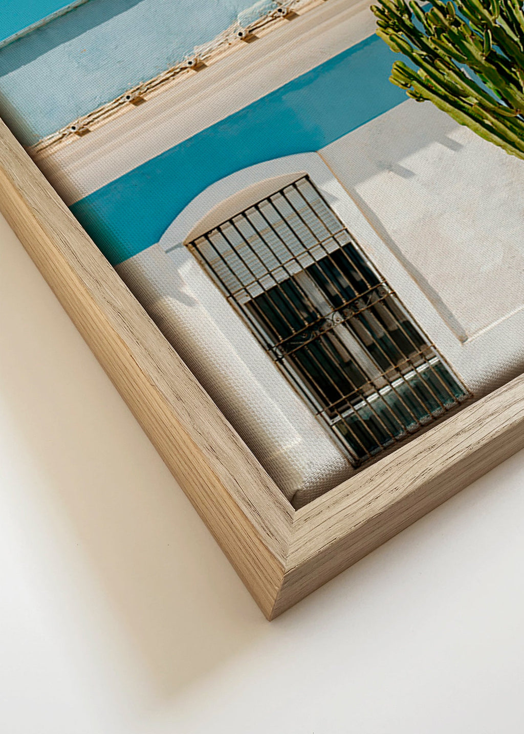 Botanisk poster: medelhavsfasad med kaktus – Canvas detail