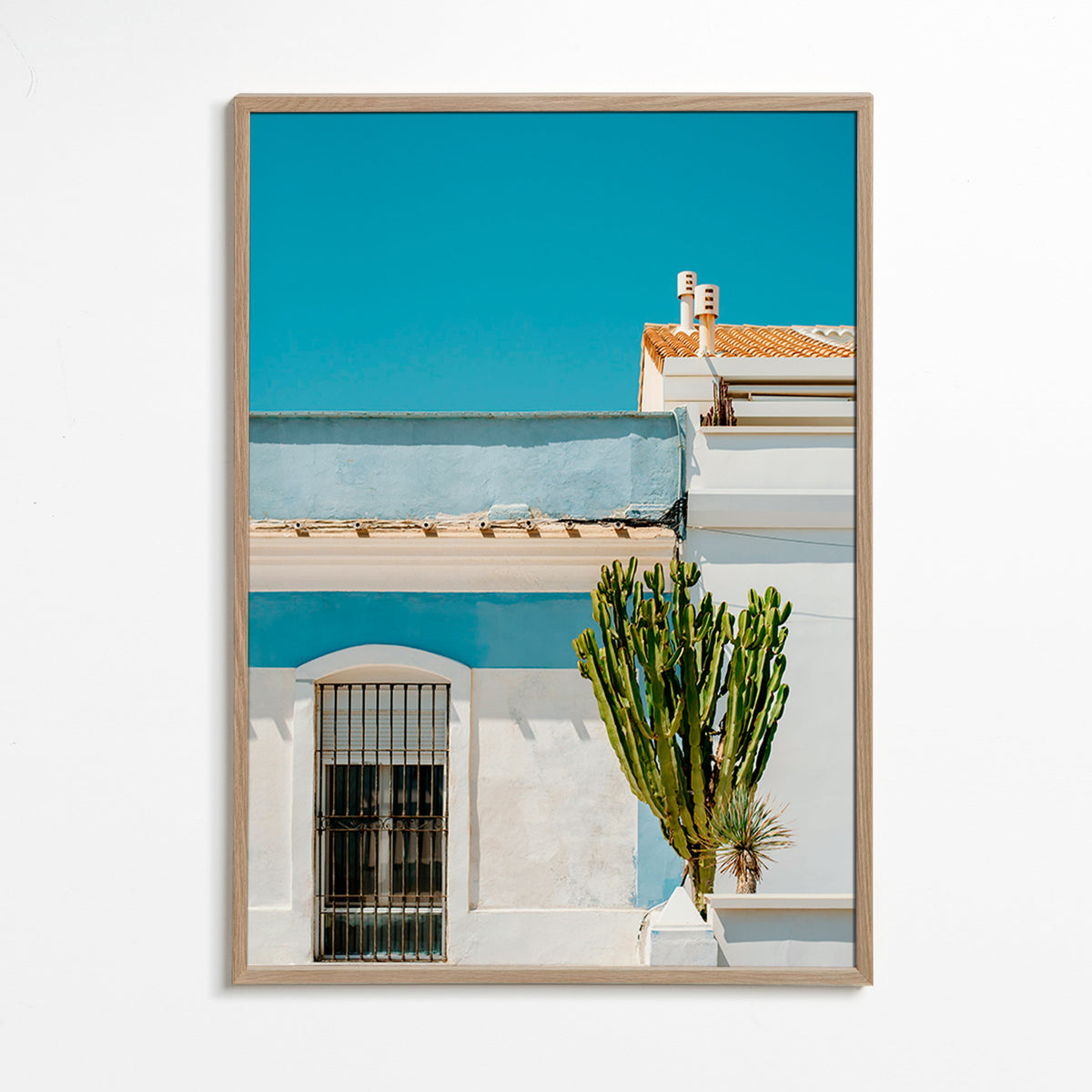 Botanisk poster: medelhavsfasad med kaktus – Oak Frame