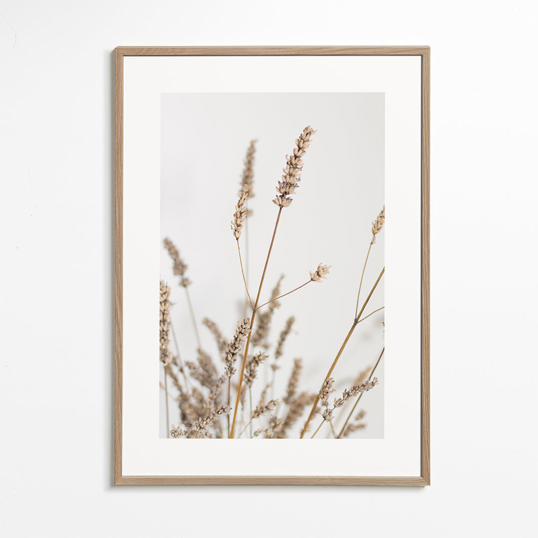 Botanisk poster: torkade ax i vertikalt format