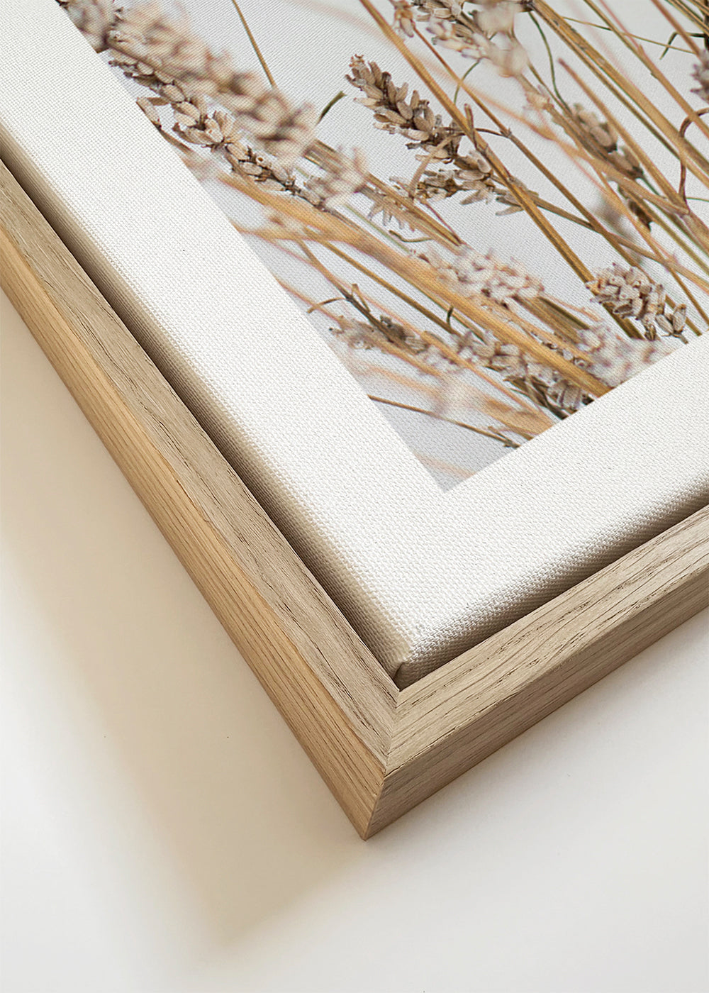Botanisk poster med torra ax