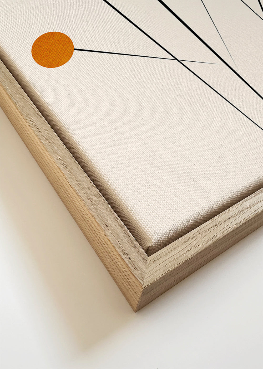Botanisk poster med orange cirklar