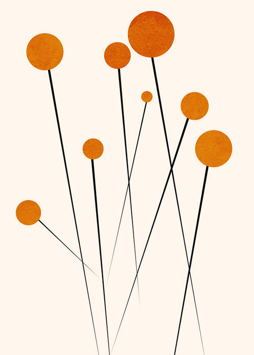 Botanisk poster med orange cirklar