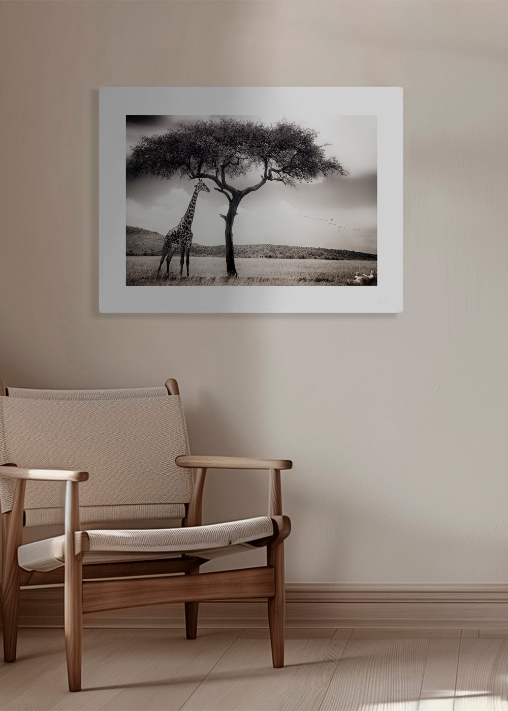Giraff på savannen fotografi