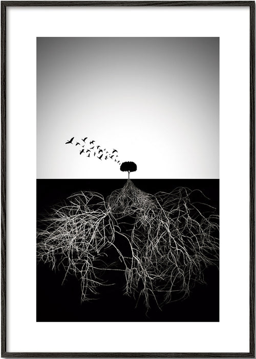 Botanisk poster med träd och grafiska rötter