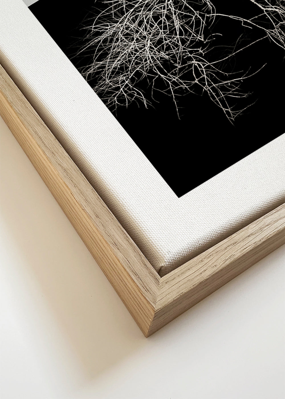 Botanisk poster med träd och grafiska rötter