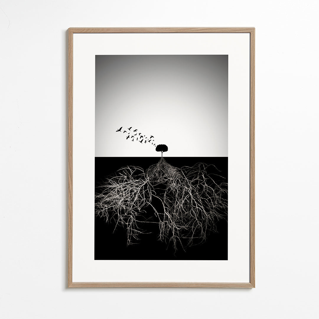 Botanisk poster med träd och grafiska rötter