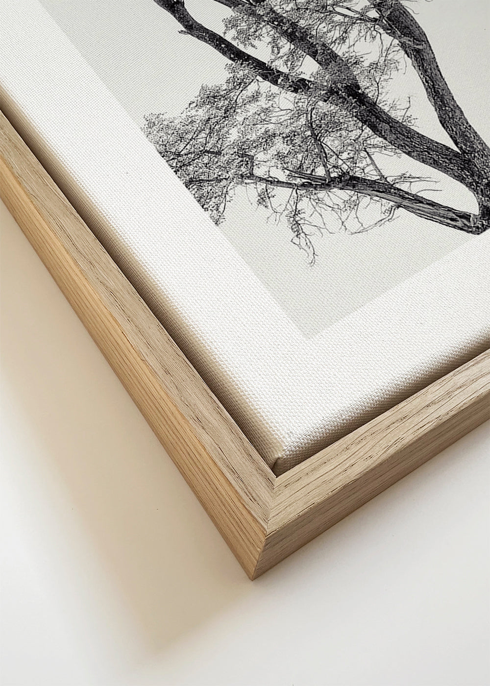 Botanisk poster: träd i svartvitt