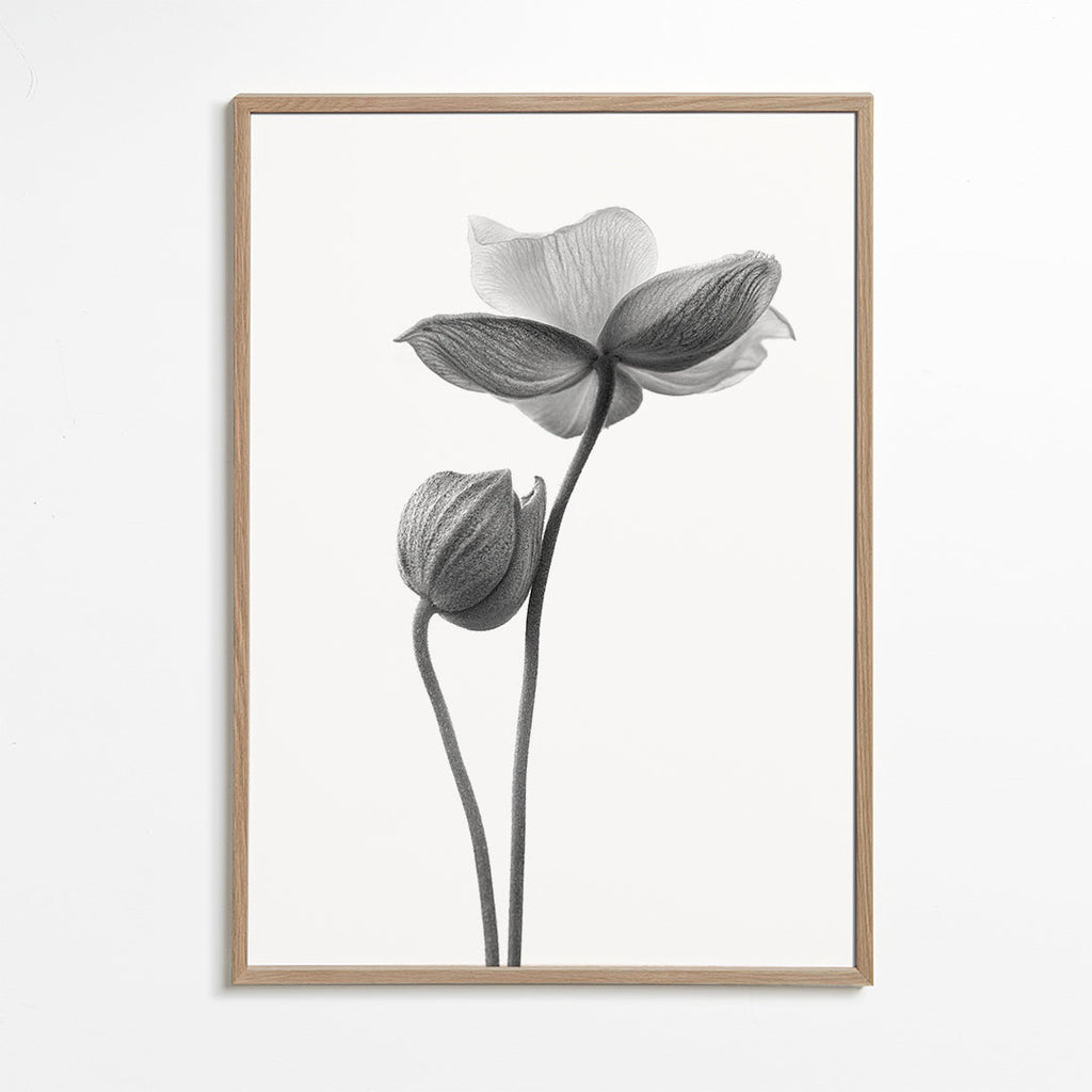 Botaniskt tryck i svartvitt
