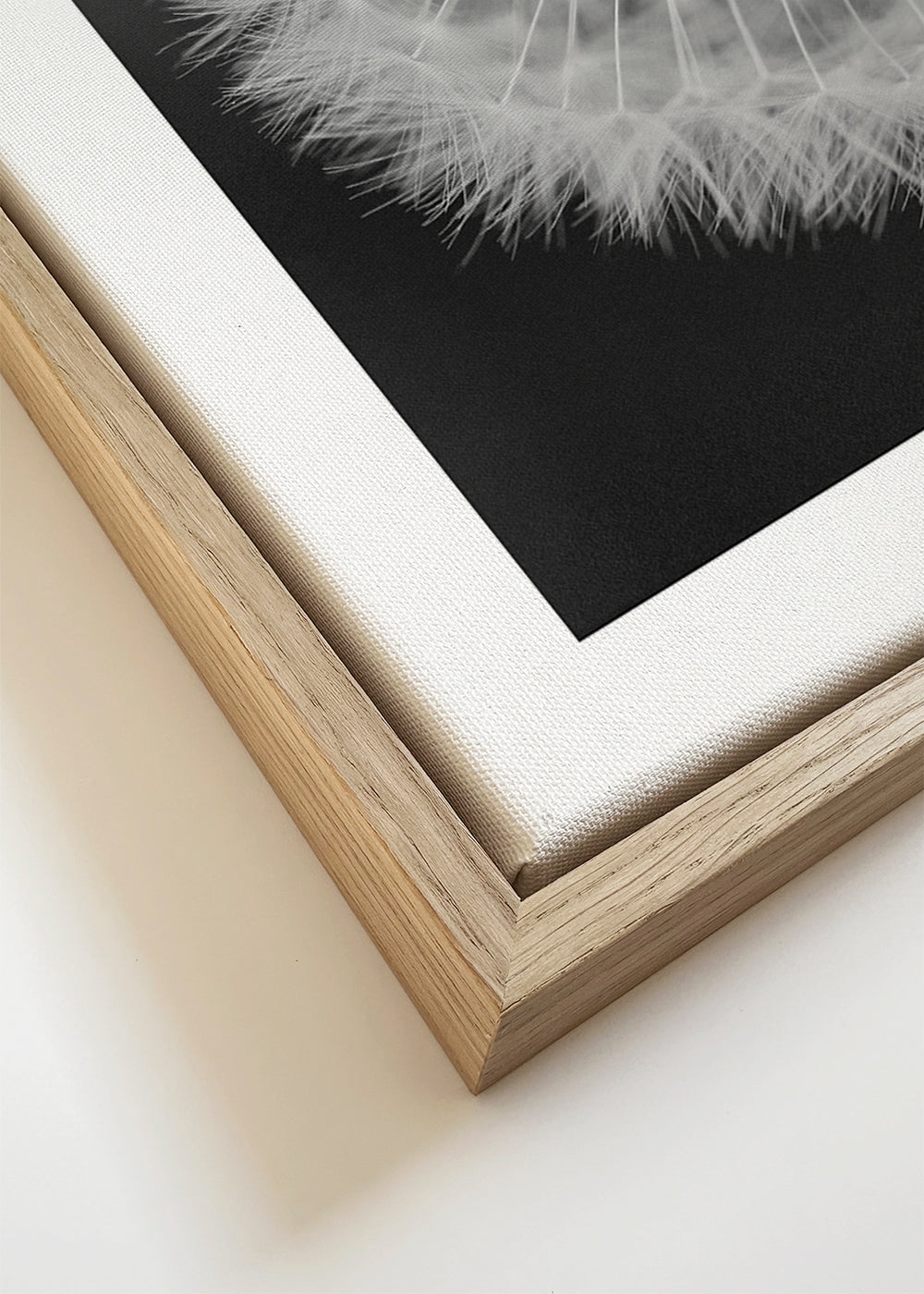 Botaniskt poster maskros närbild