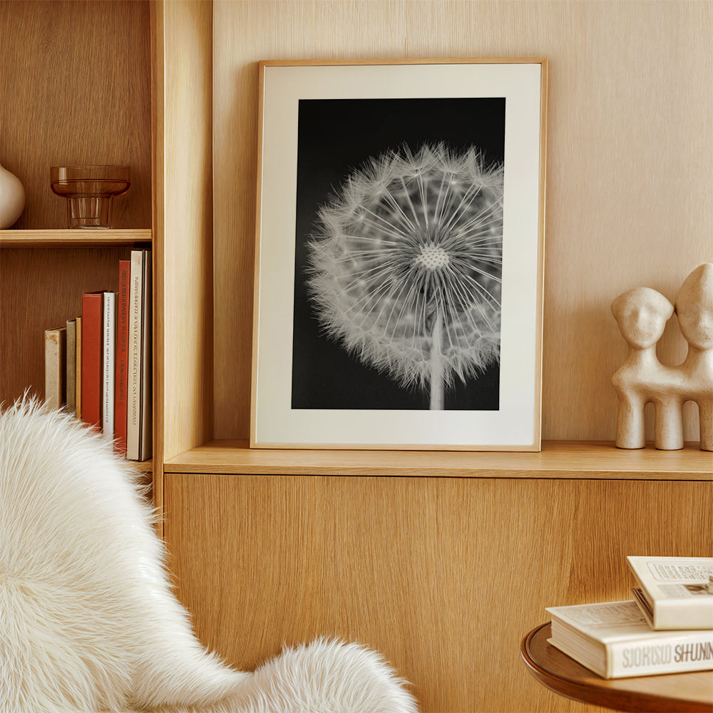 Botaniskt poster maskros närbild