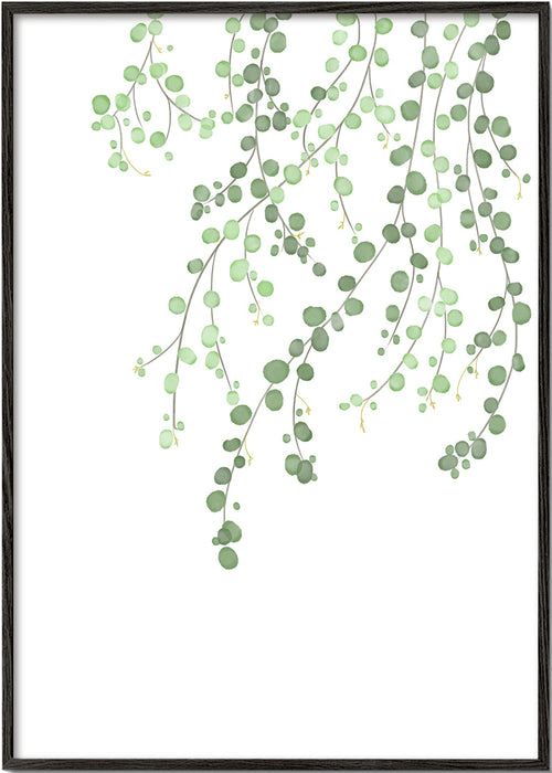 Botanisk poster hängande grenar