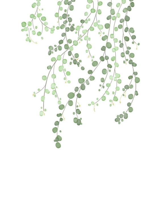 Botanisk poster hängande grenar