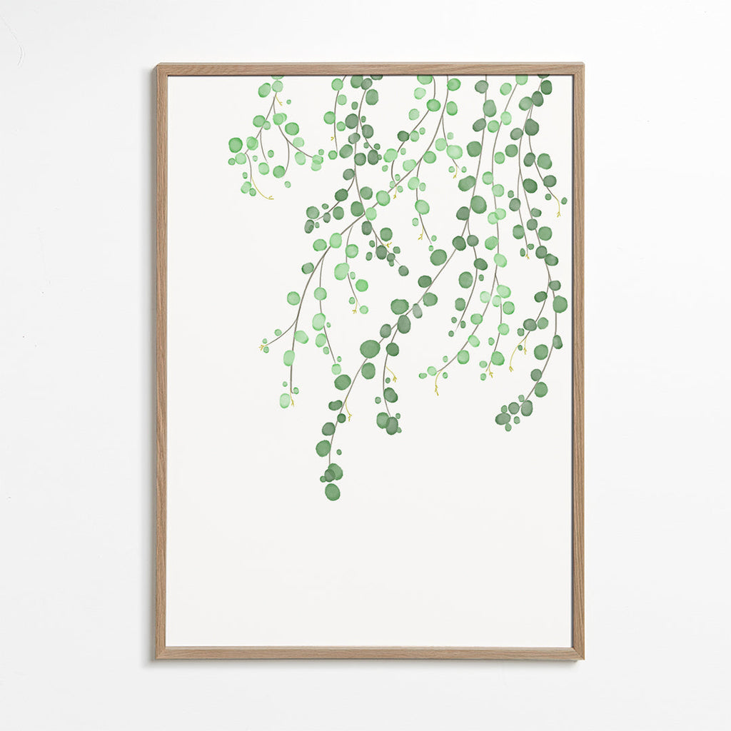 Botanisk poster hängande grenar