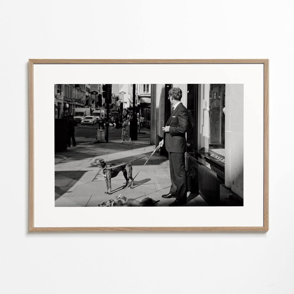 Gatufotografi man med hund
