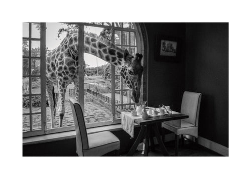 Konstverk giraff vid bordet