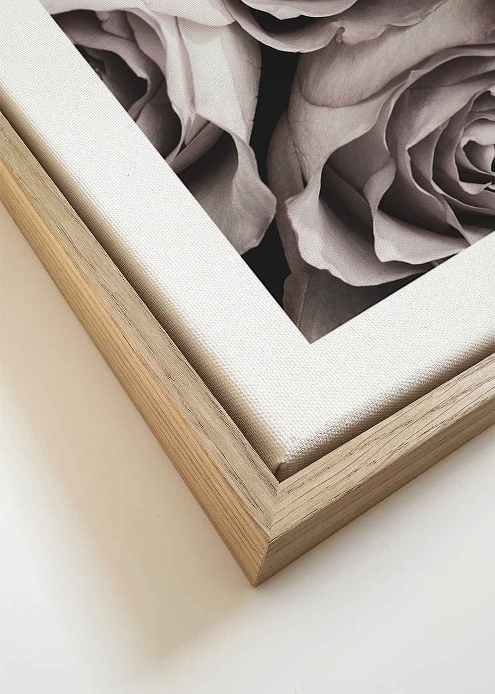 Botanisk poster bleka rosor närbild