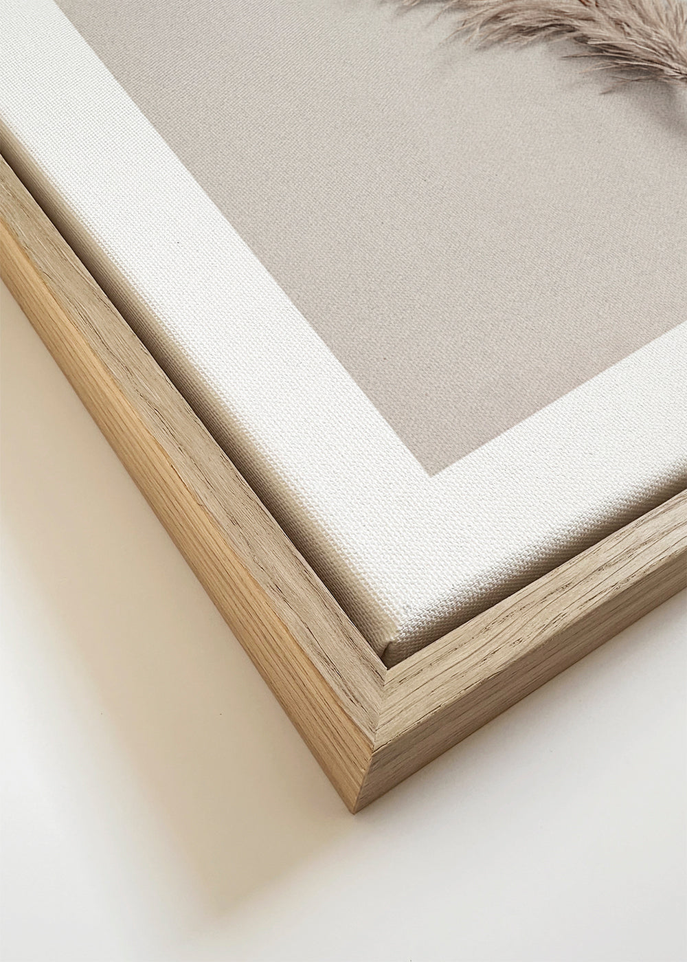 Botanisk poster: fjäder beige