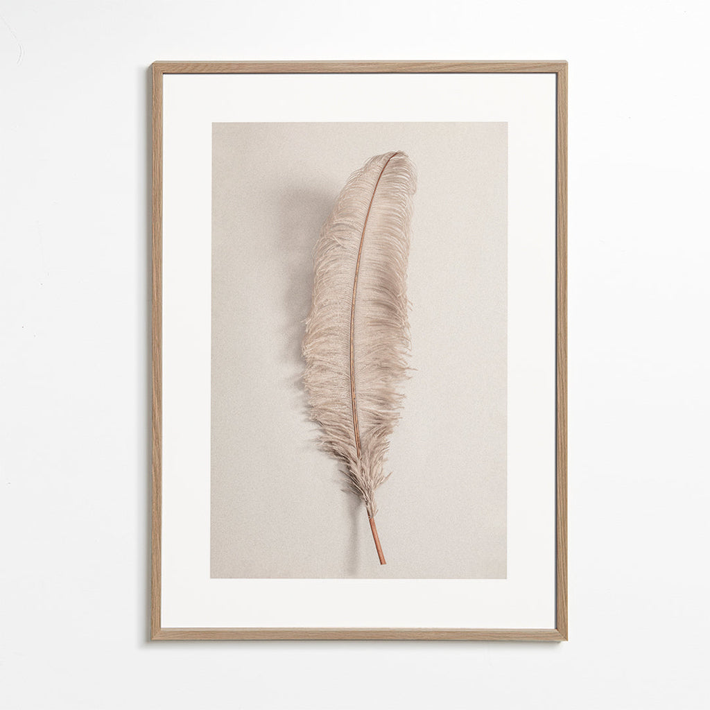 Botanisk poster: fjäder beige