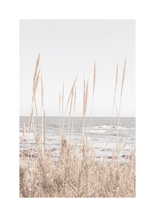 Landskapskonst med strandgräs