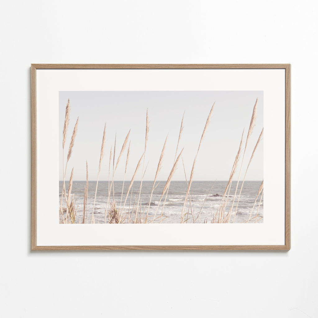 Beach Vass II
