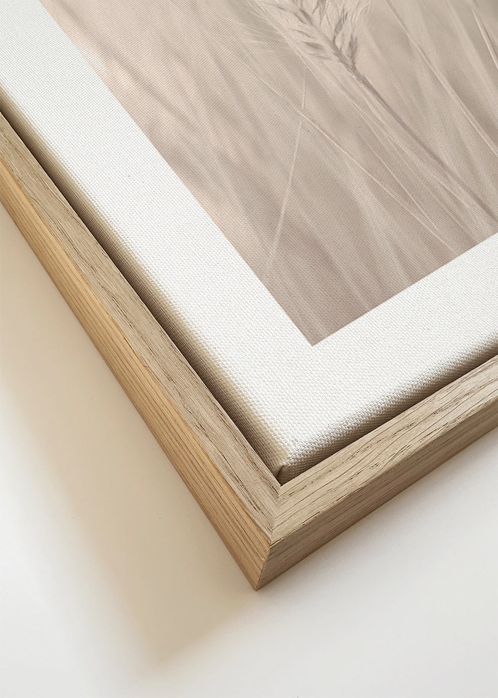 Botanisk poster: ax i mjuka toner