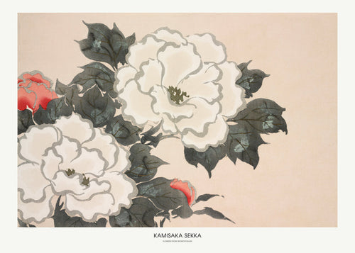 Botanisk poster: japansk blomsterstudie