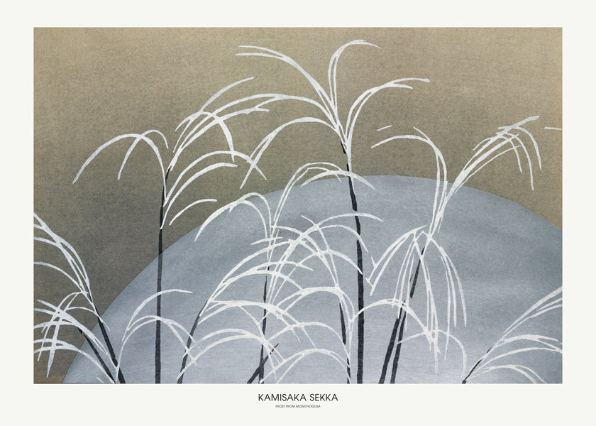 Botanisk poster: vita vassstrån på blå kulle