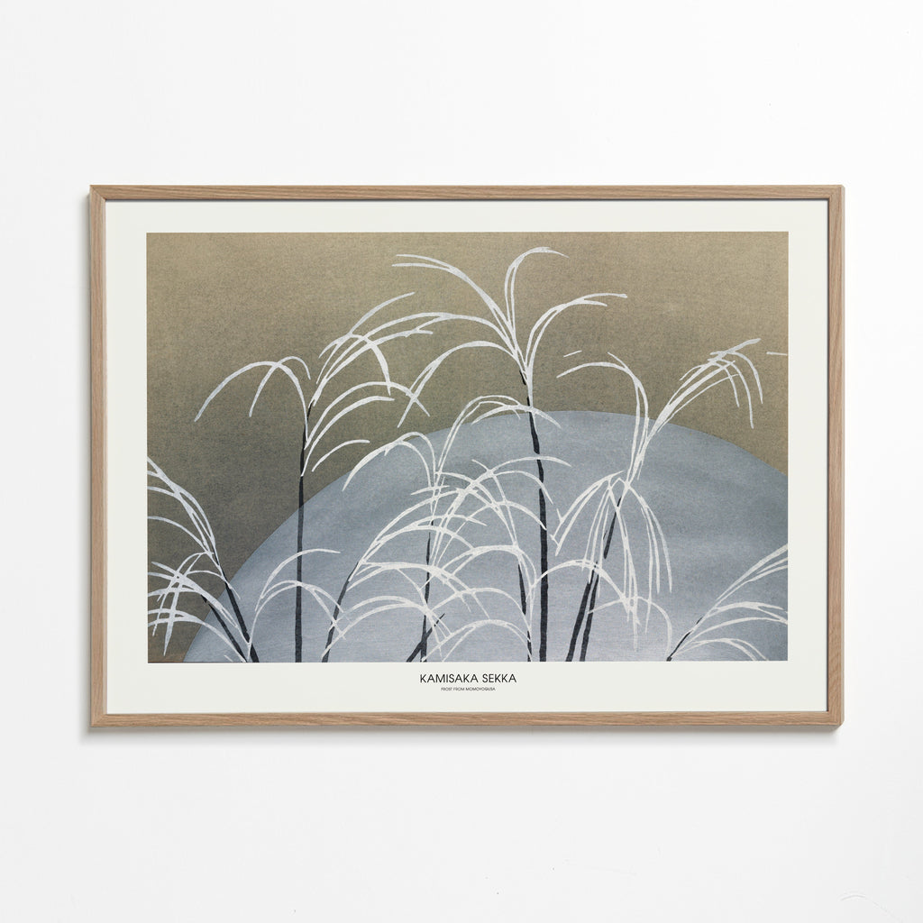 Botanisk poster: vita vassstrån på blå kulle