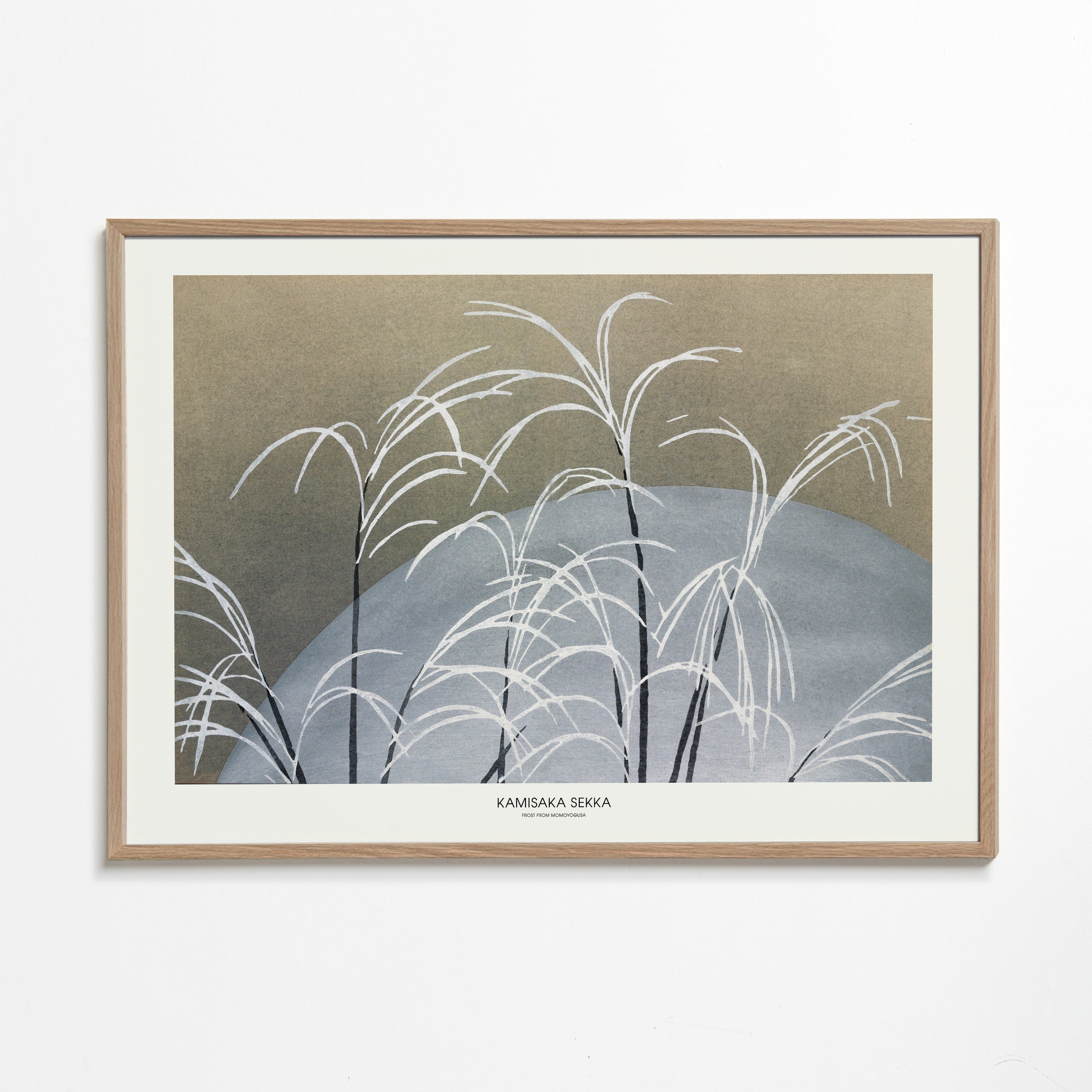 Botanisk poster: vita vassstrån på blå kulle