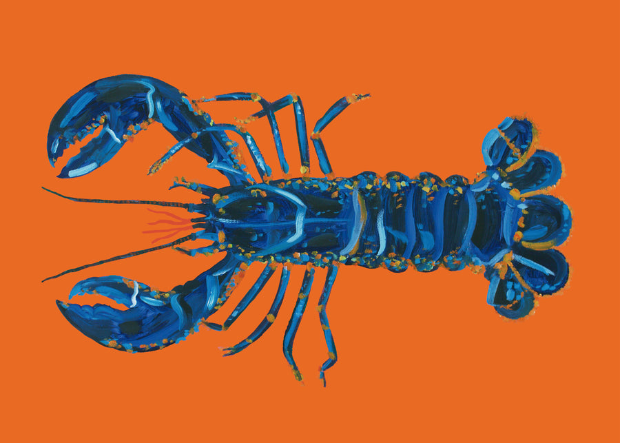 Lobster On Orange