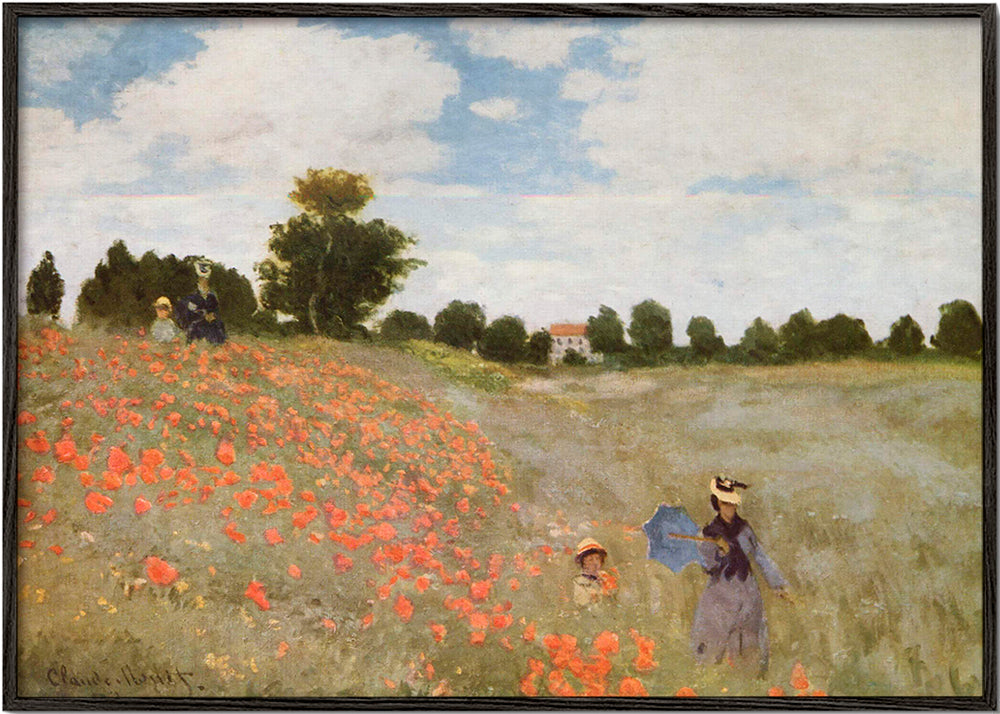 Botanisk poster med vallmofält