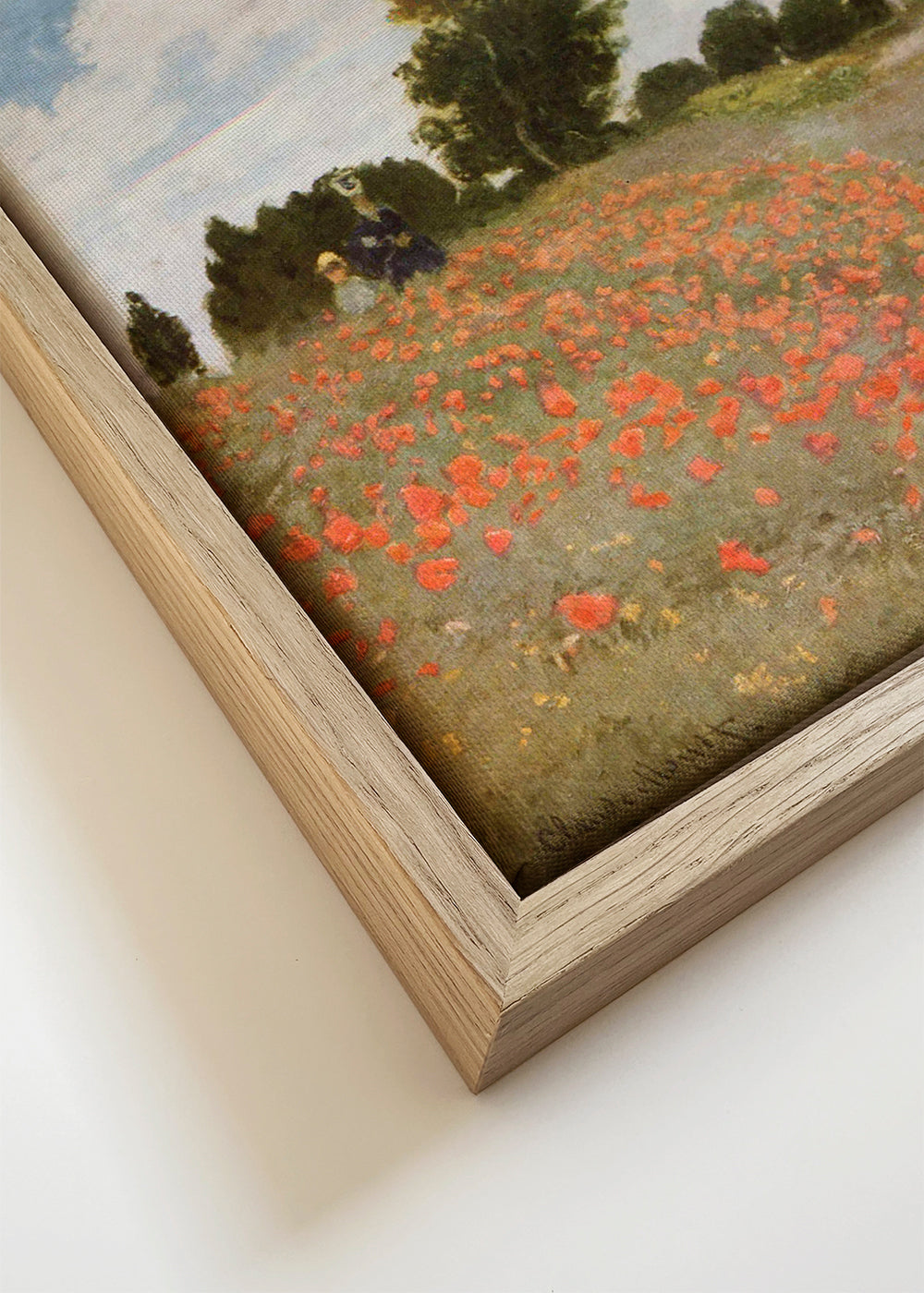 Botanisk poster med vallmofält