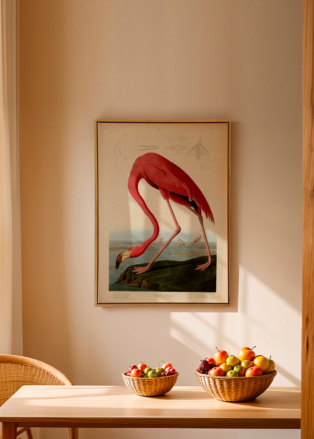Konstflamingo i Audubon-stil