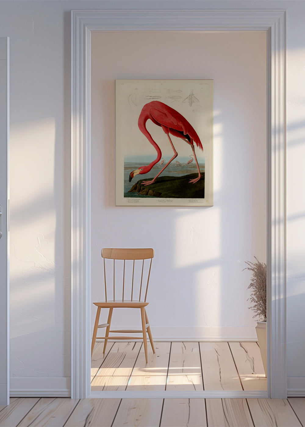 Konstflamingo i Audubon-stil