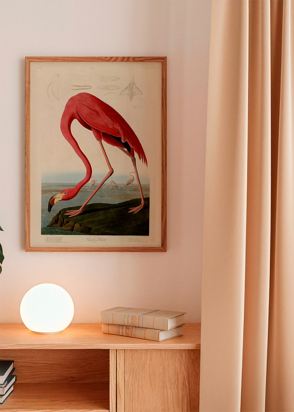Konstflamingo i Audubon-stil