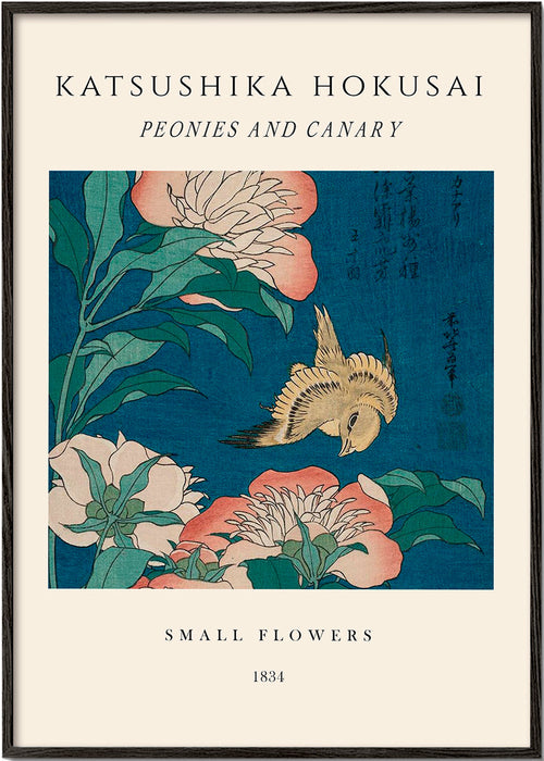 Botanisk poster med pioner och kanariefågel