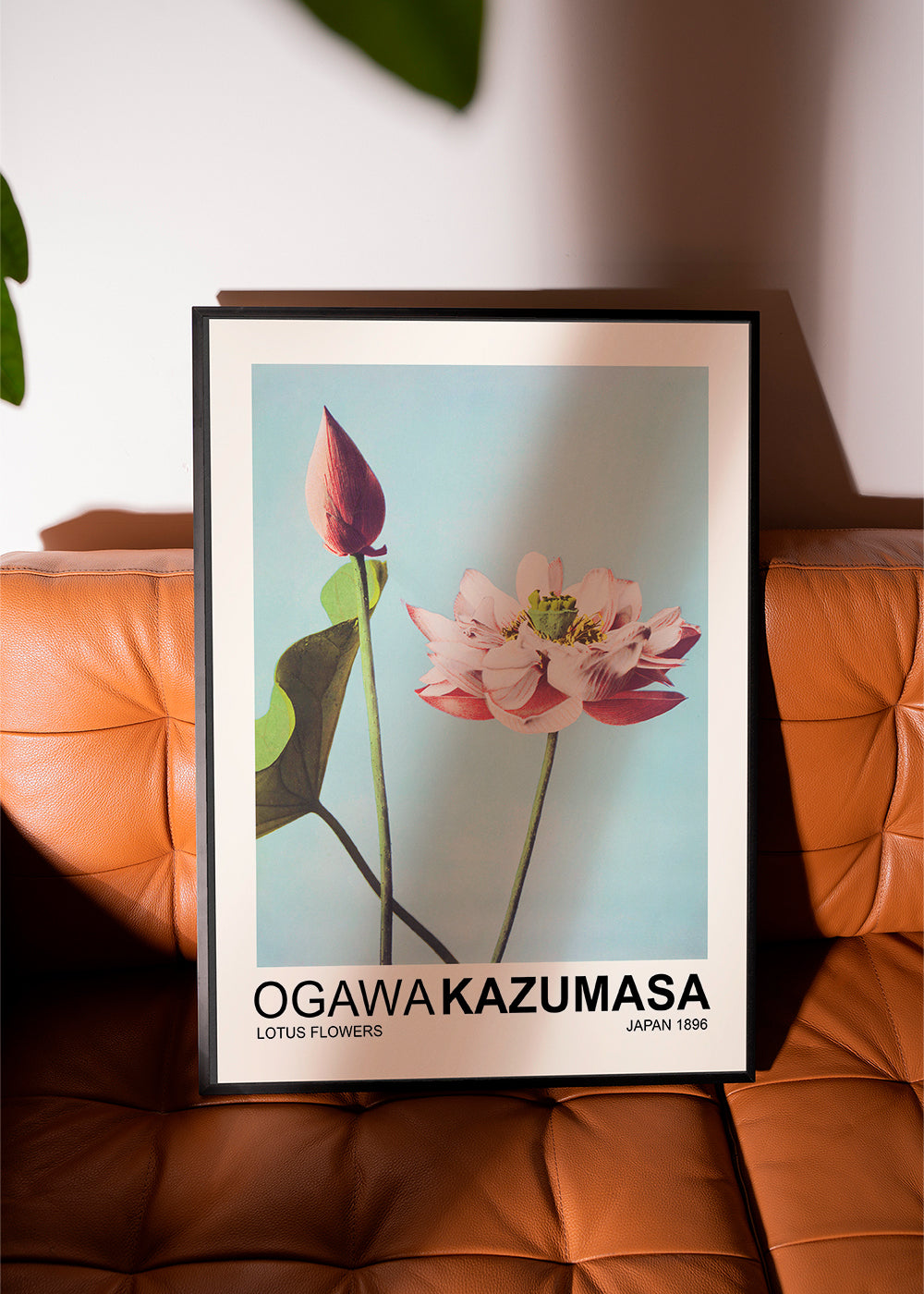 Botanisk poster: rosa lotus mot blå himmel