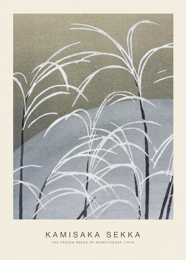 Botanisk poster: studie av frusna vass