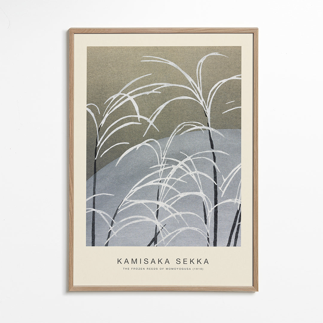 Botanisk poster: studie av frusna vass