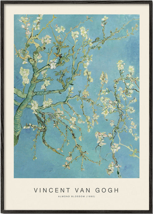 Botanisk poster Mandelblom över blå himmel