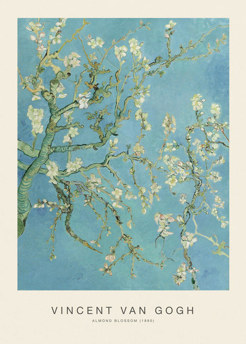 Botanisk poster Mandelblom över blå himmel
