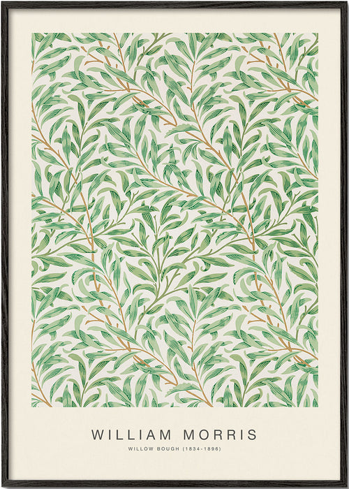 Botanisk poster Willow Bough bladverk