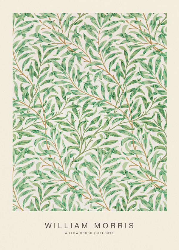 Botanisk poster Willow Bough bladverk