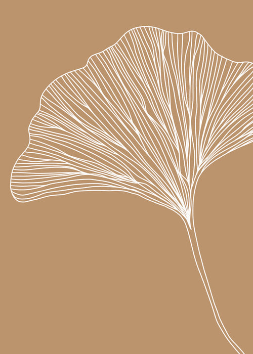 Botanisk poster med ginkgo-blad