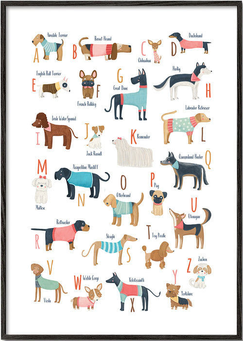 Illustration alfabet med hundar