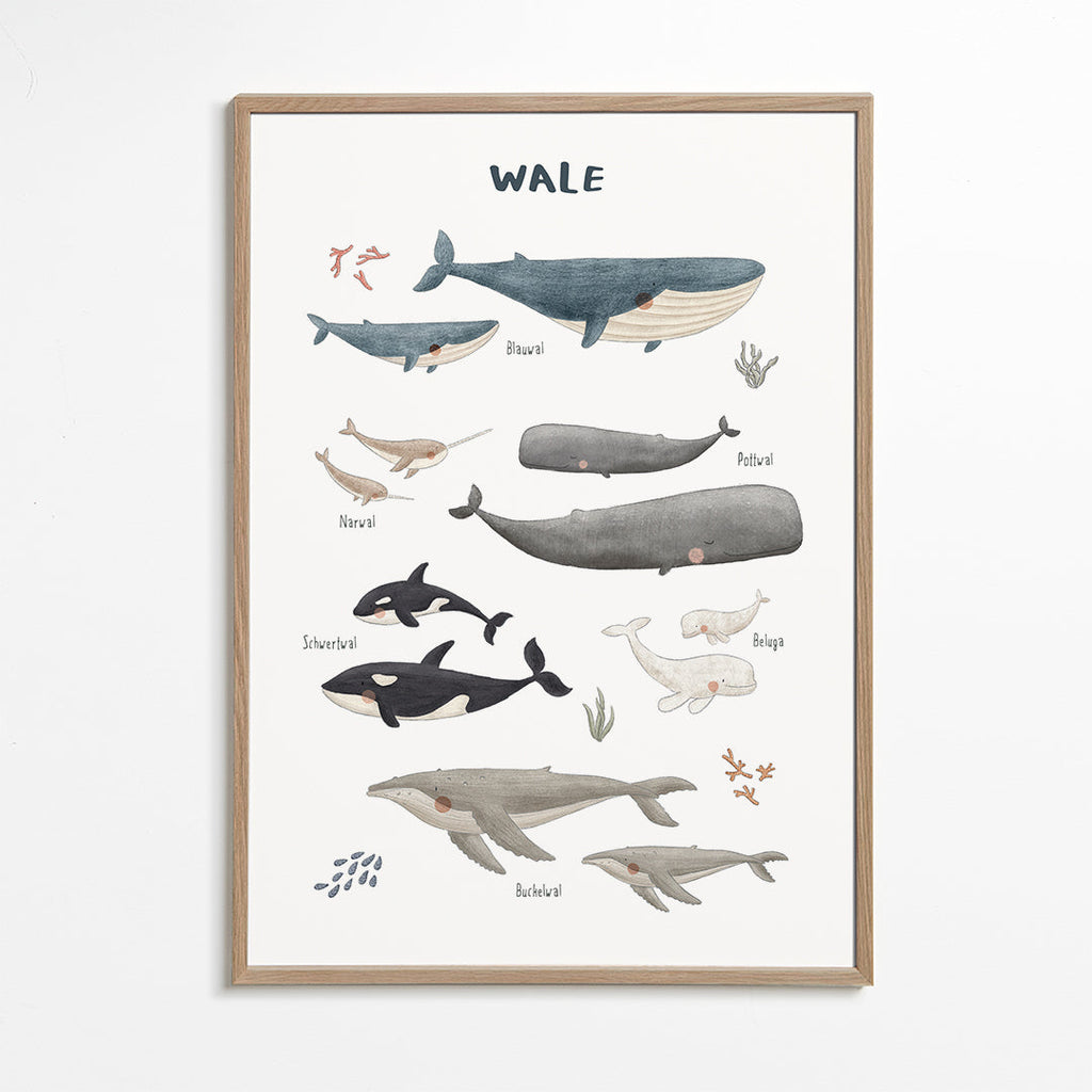 Barnposter med valar i akvarell