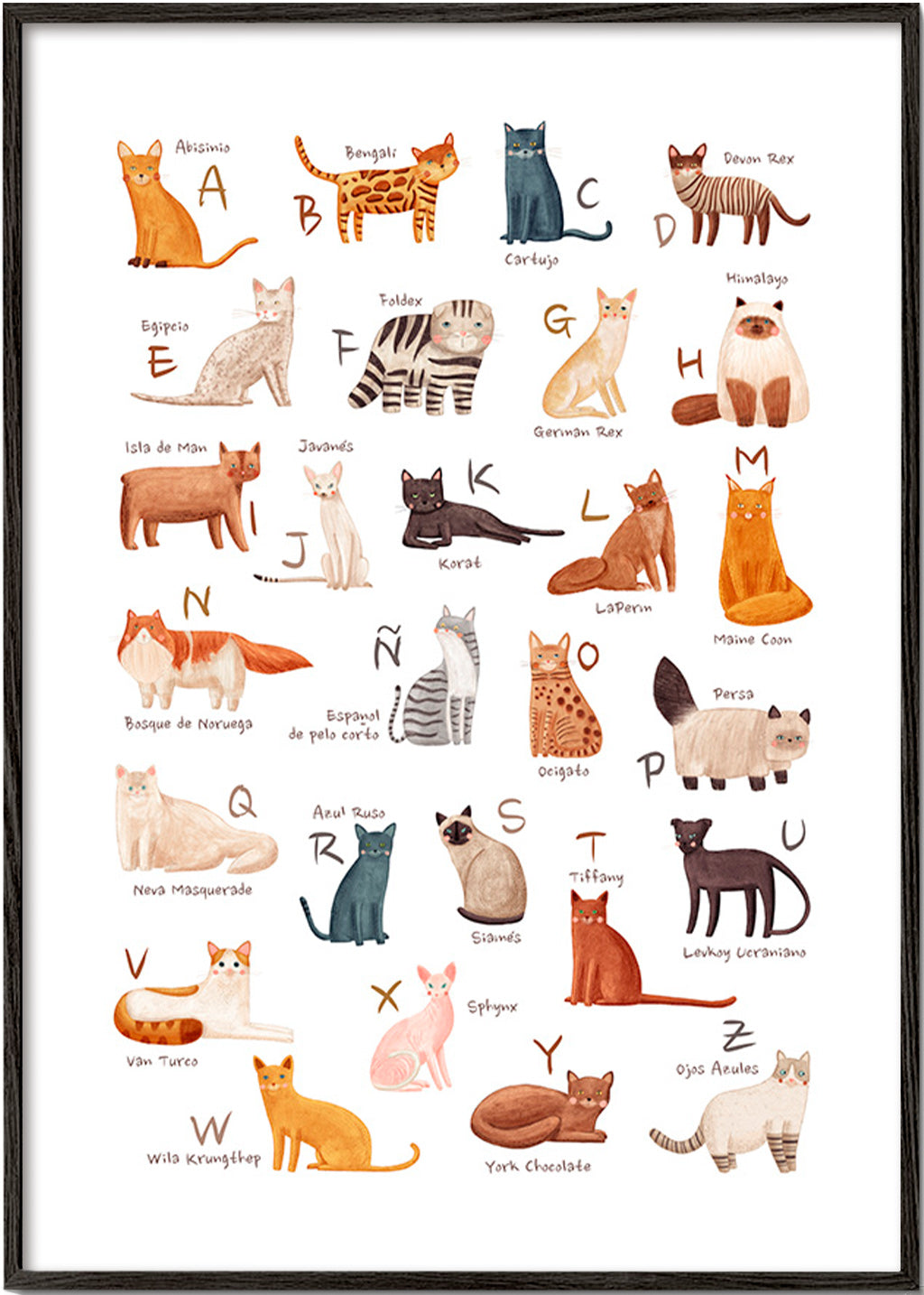 Barnposter Illustrerat kattalfabet