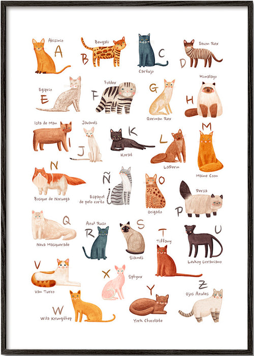 Barnposter Illustrerat kattalfabet
