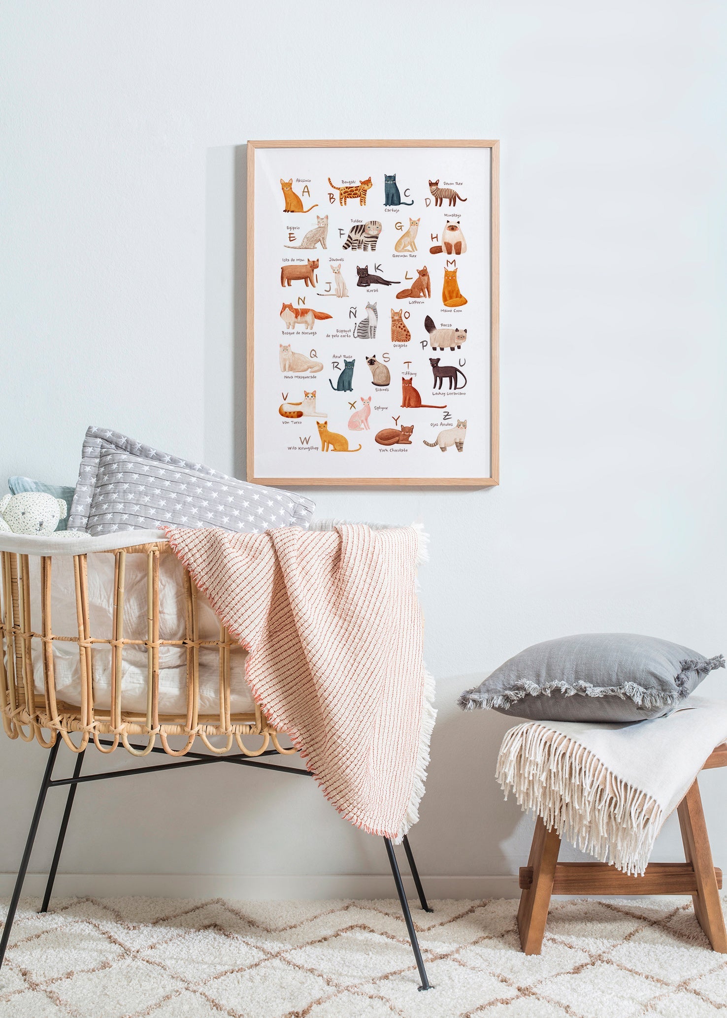 Barnposter Illustrerat kattalfabet